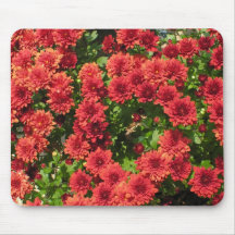Momias Mousepad Tapetes De Raton
