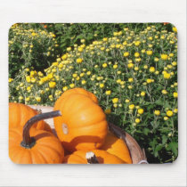 Momias y mini calabazas Mousepad alfombrillas de raton 