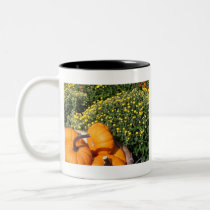 Momias y mini taza de las calabazas tazas