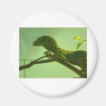 monitor verde del árbol imanes para frigoríficos