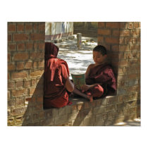 Monjes birmanos jovenes posters