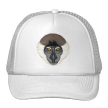 Monkeyficent Gorro