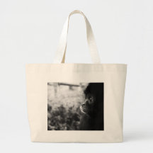 Mono Bolsa