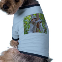 Mono Camisas De Perritos