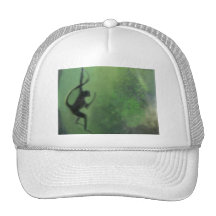 Mono de araña en el movimiento gorras de camionero