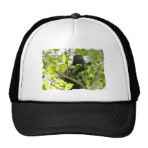 Mono de chillón en la foto de la selva gorro de camionero
