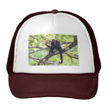 Mono de la madre y del bebé gorras