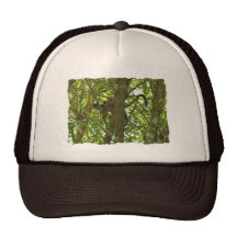 Mono de la madre y del bebé gorro