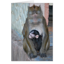Mono de Macaque de la tarjeta de nota y bebé - Sub
