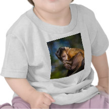 Mono del capuchón camisetas