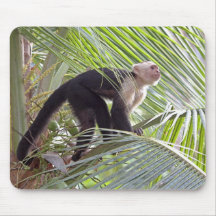 Mono en la foto de bambú de la selva tapete de raton