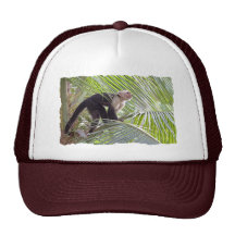 Mono en la foto de bambú de la selva gorros bordados