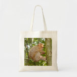 Mono en un bolso de la foto del árbol bolsas