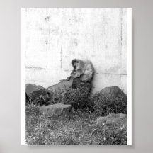 Mono hosco posters