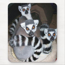 Mono Mousepad del Lemur del Ringtail Alfombrillas De Ratones