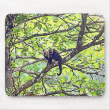 Mono y bebé de la madre en selva alfombrilla de raton