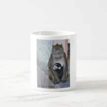 Mono y bebé salvajes de Macaque de la taza
