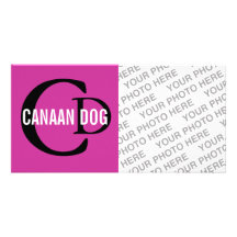 Monograma de la raza del perro de Canaan Tarjeta Personal