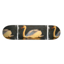 Monopatín bonito del cisne