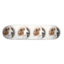 Monopatín de Basset Hound
