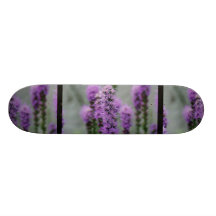 Monopatín de la flor del Liatris