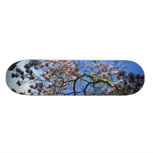 Monopatín de la magnolia