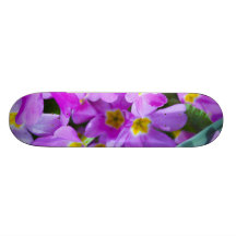 monopatín de la primavera
