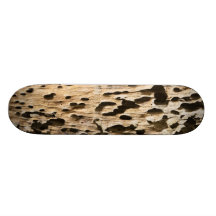 Monopatín de madera dañado termita