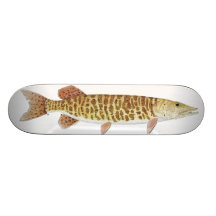 MONOPATÍN DE MUSKIE