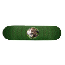 Monopatín de ojos verdes del gato