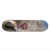 Monopatín de Spinone del italiano