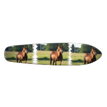 Monopatín del caballo de la castaña