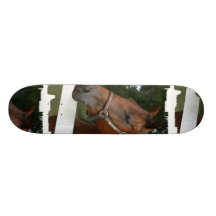 Monopatín del caballo de la castaña dulce