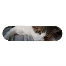 Monopatín del gatito