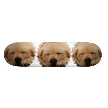 Monopatín del golden retriever el dormir