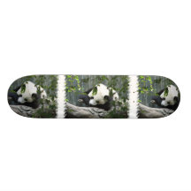 Monopatín del oso de panda