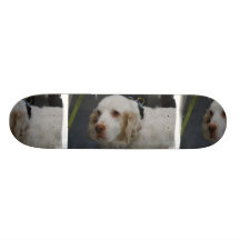Monopatín del perro del perro de aguas de Clumber