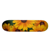 Monopatín del Rudbeckia