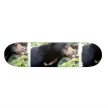 Monopatín divertido del oso negro