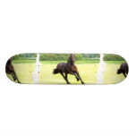 Monopatín galopante del caballo