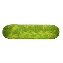 Monopatín - kiwi