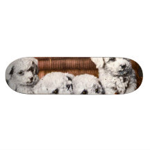 monopatín mullido lindo de 4 perritos