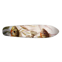 monopatín - pescado del acuario - negro común del 