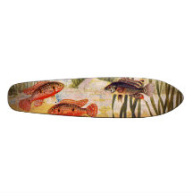 monopatín - pescado del acuario - pares de Hemichr
