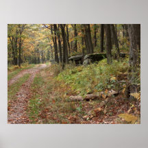 Montaña de los alces de maderas del otoño @ posters
