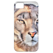 Montaña Lion.tif iPhone 5 Protectores