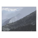 Montaña solitaria del árbol - tarjetas