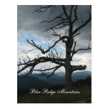 montañas Blue Ridge Tarjetas Postales