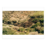 montañas de Colorado Tarjeta Postal