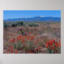 Montañas de Owyhee Poster